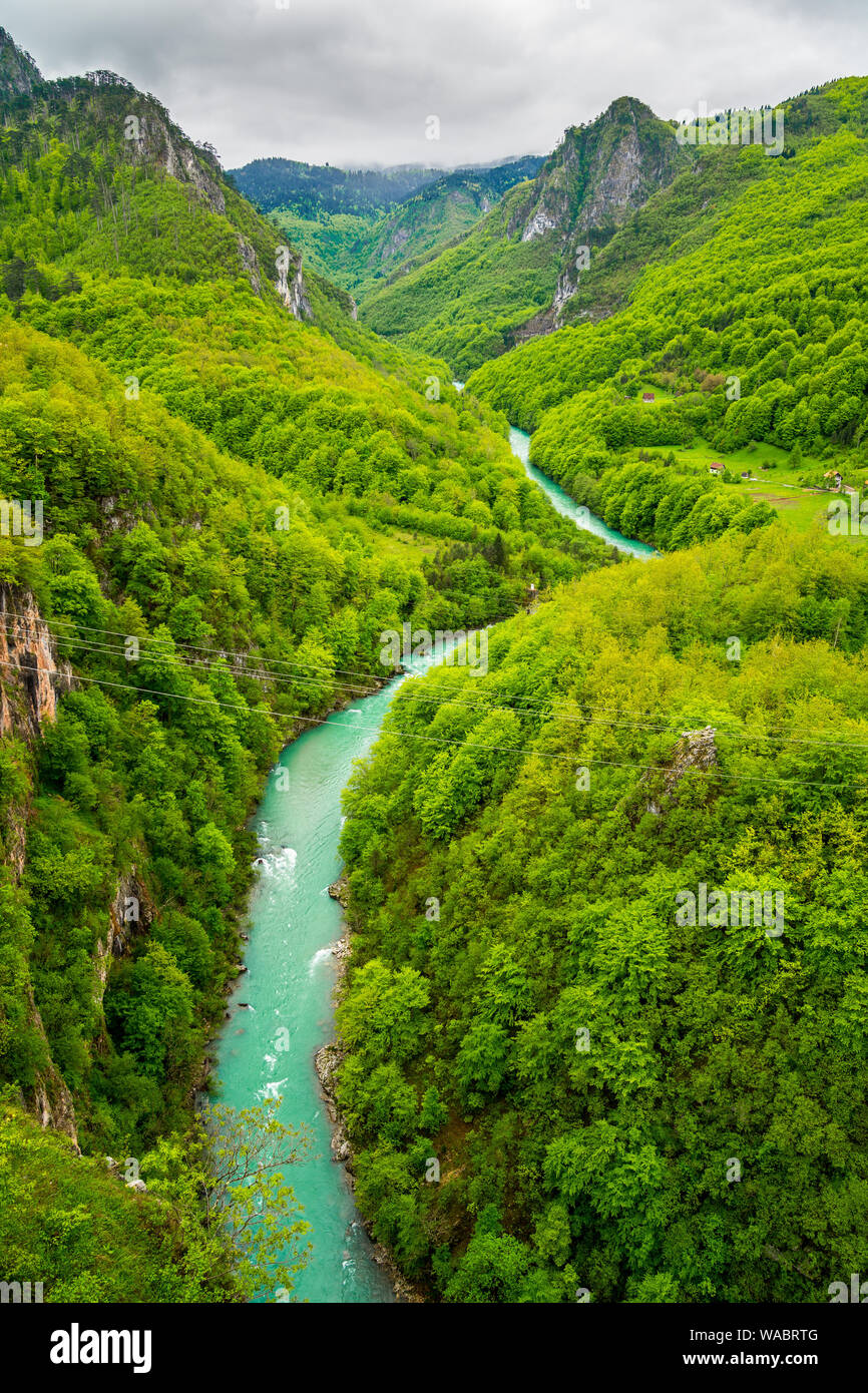 Montenegro, Grüne unberührte Natur Landschaft von Tara Canyon von Tara Fluss Wasser durch einige Zip gekreuzten Adern erstellt Stockfoto