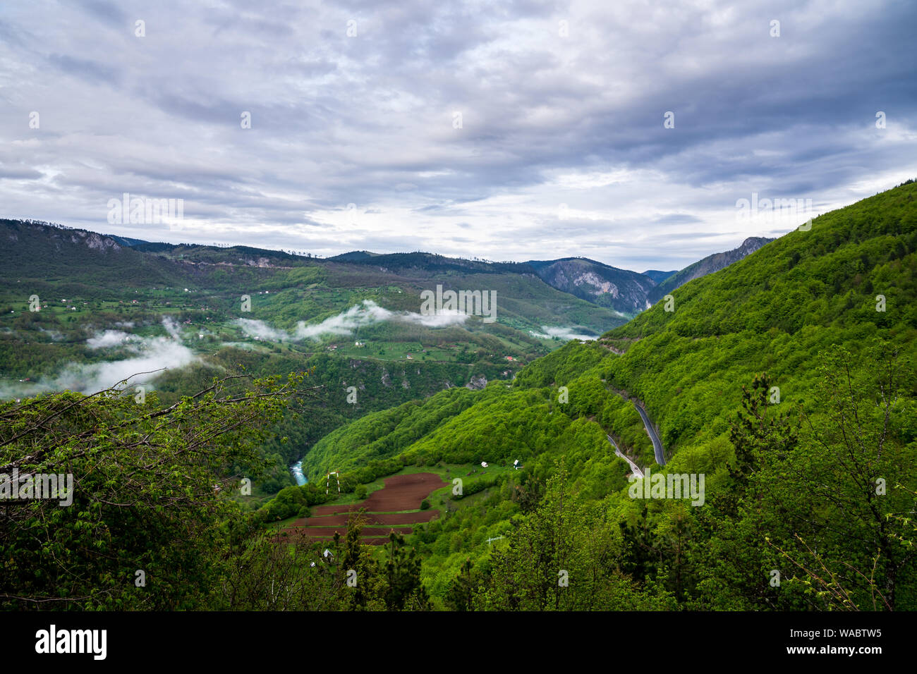 Montenegro, beeindruckenden Blick über grün bewaldeten Felsen des berühmten Tara Canyon Natur Landschaft von Tara Fluss von oben gebildet Stockfoto