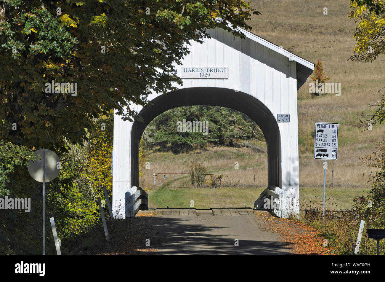 Eine gepflasterte Landstraße, immer noch in Gebrauch, läuft throuHarris Covered Bridge, in der Willamette Valley von Oregon, östlich von Corvalis Stockfoto