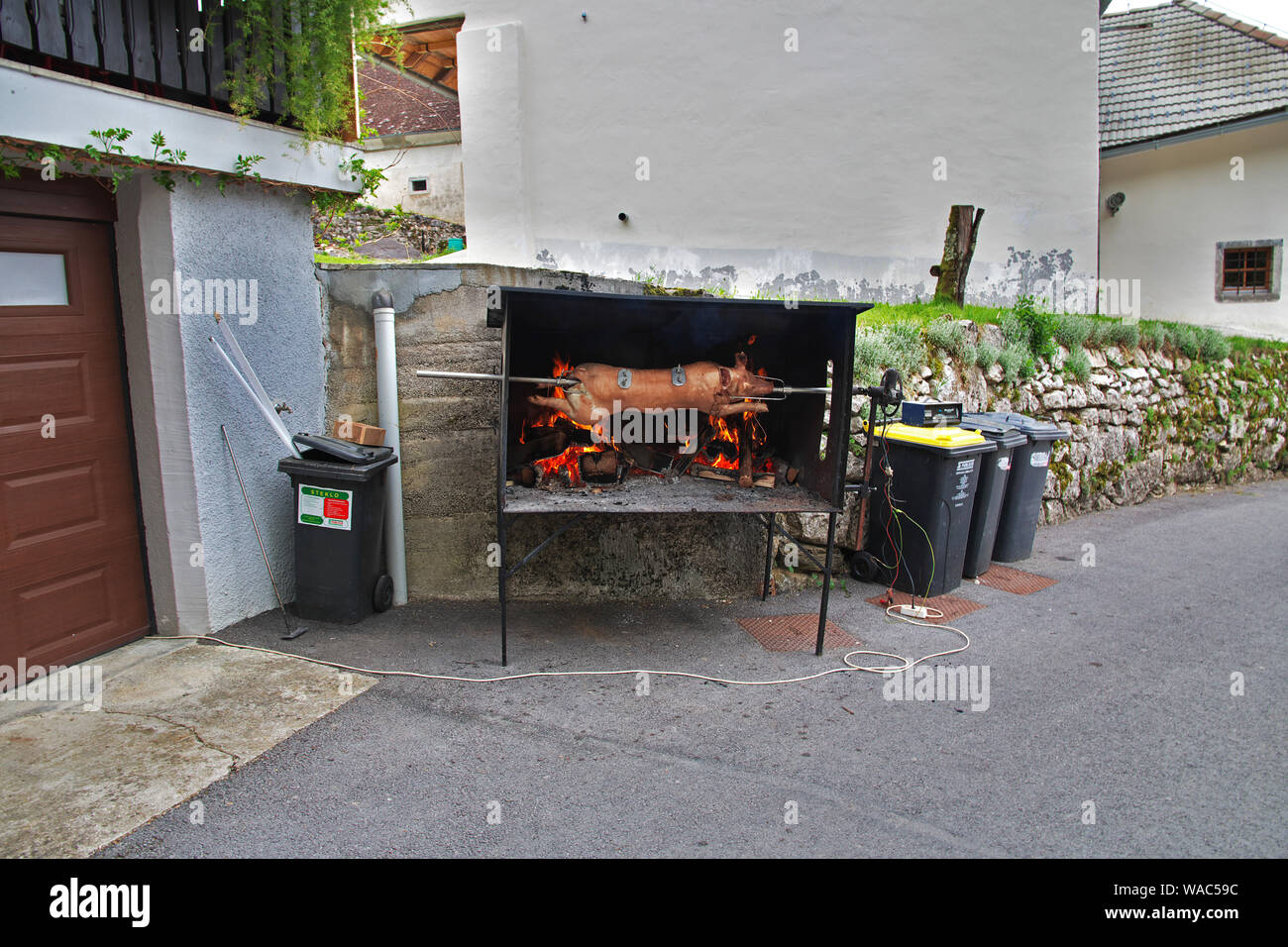 Braten Schwein am Spieß Stockfoto