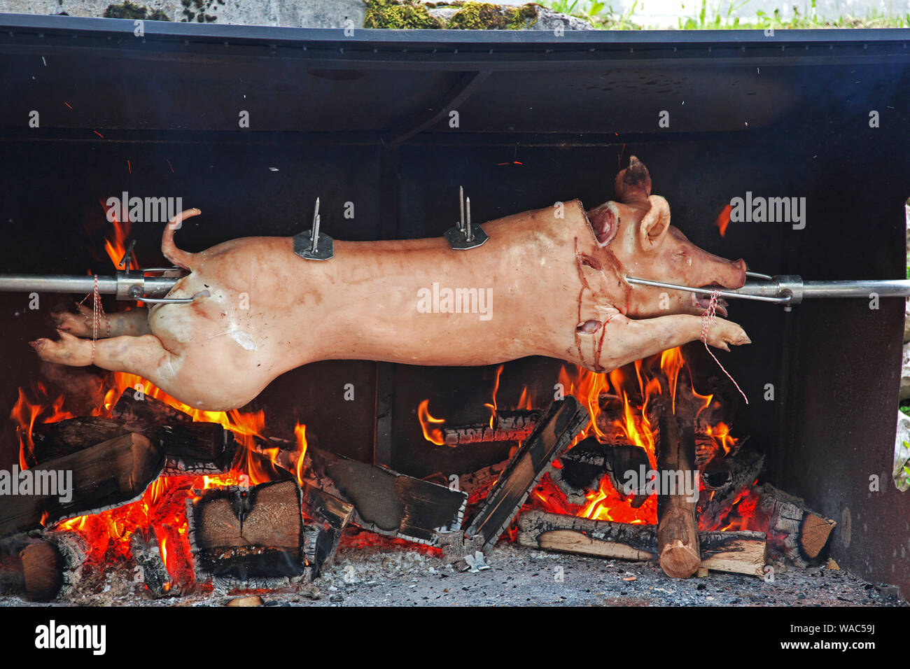 Braten Schwein am Spieß Stockfoto