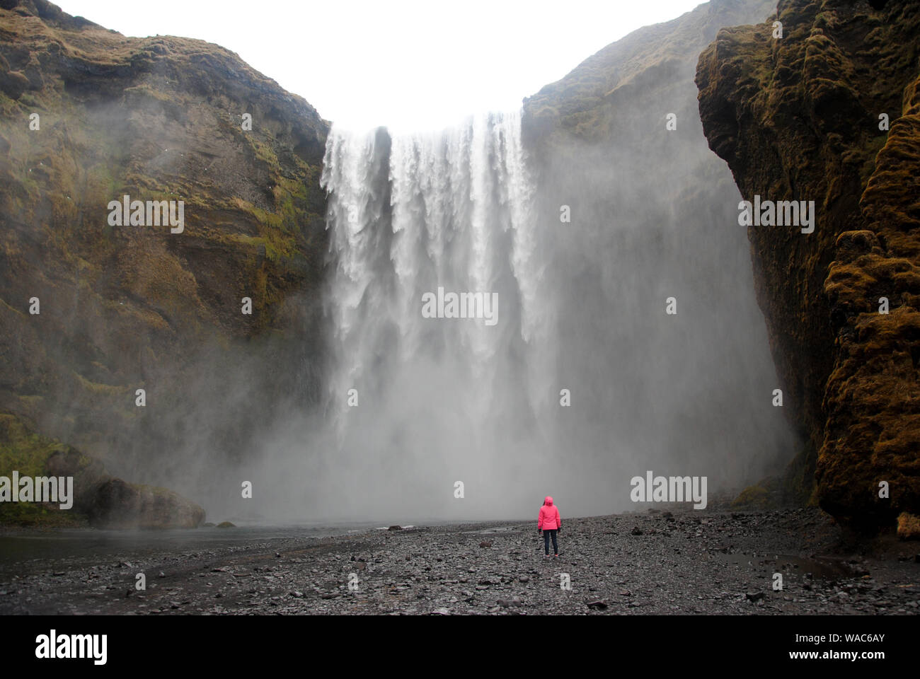 Skógafoss Wasserfalls im südlichen Island Stockfoto