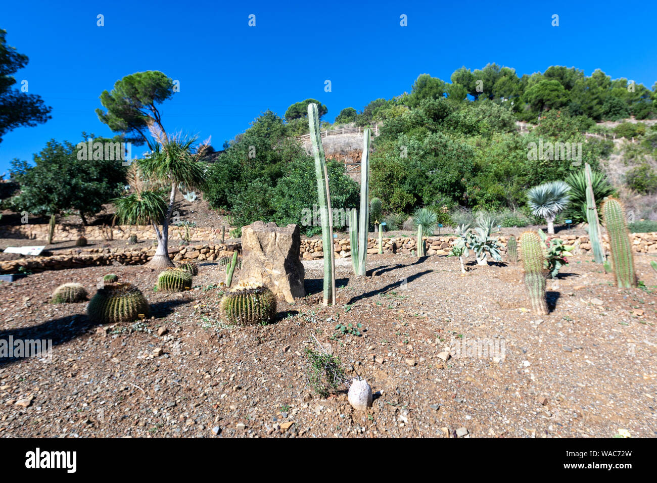 Jardín Botánico Histórico La Concepción, Malaga, Andalusien, Spanien Stockfoto