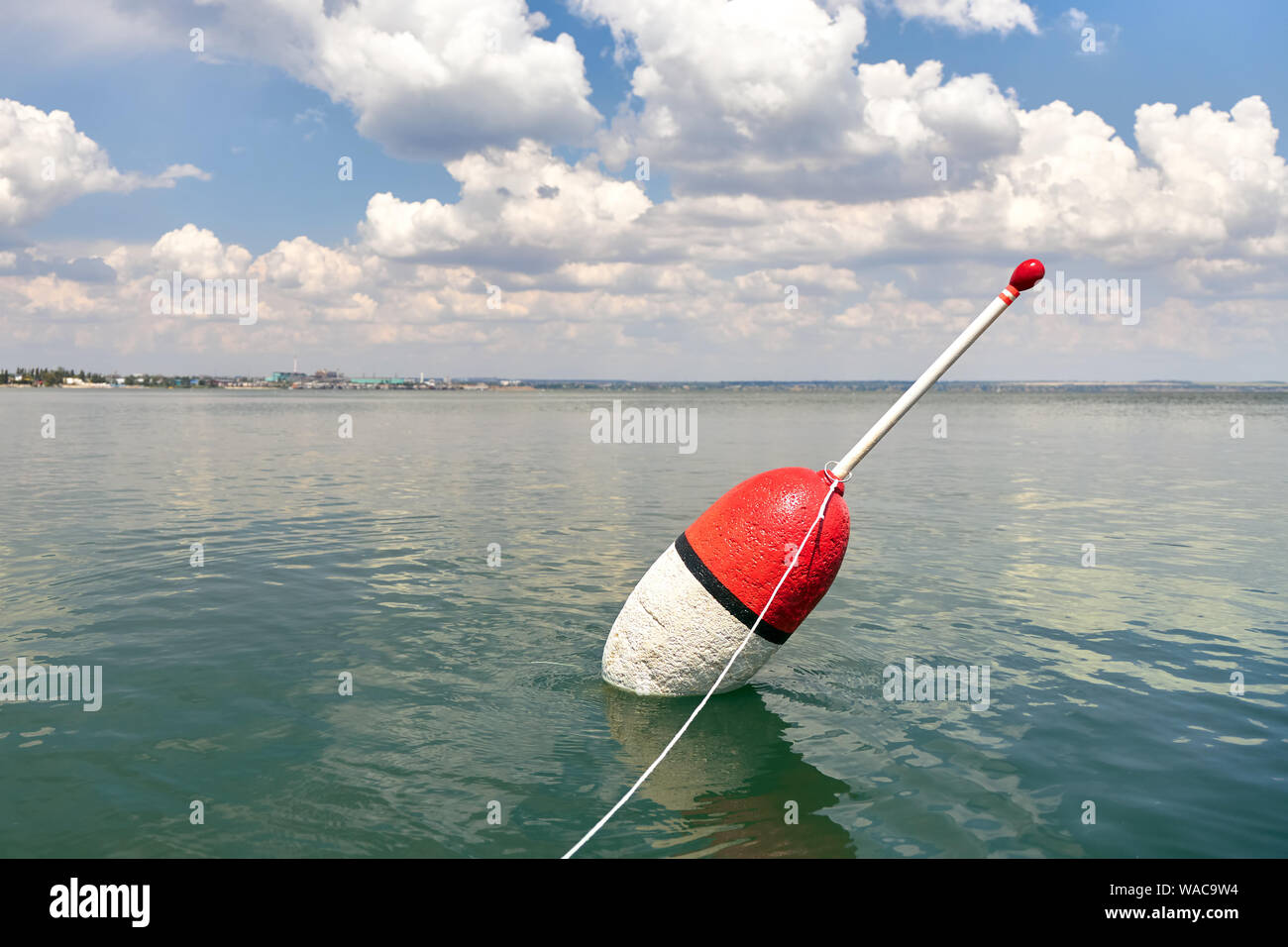 Große Schwimmer auf eine ruhige Oberfläche des Meeres als Symbol für erfolgreiches Fischen Stockfoto