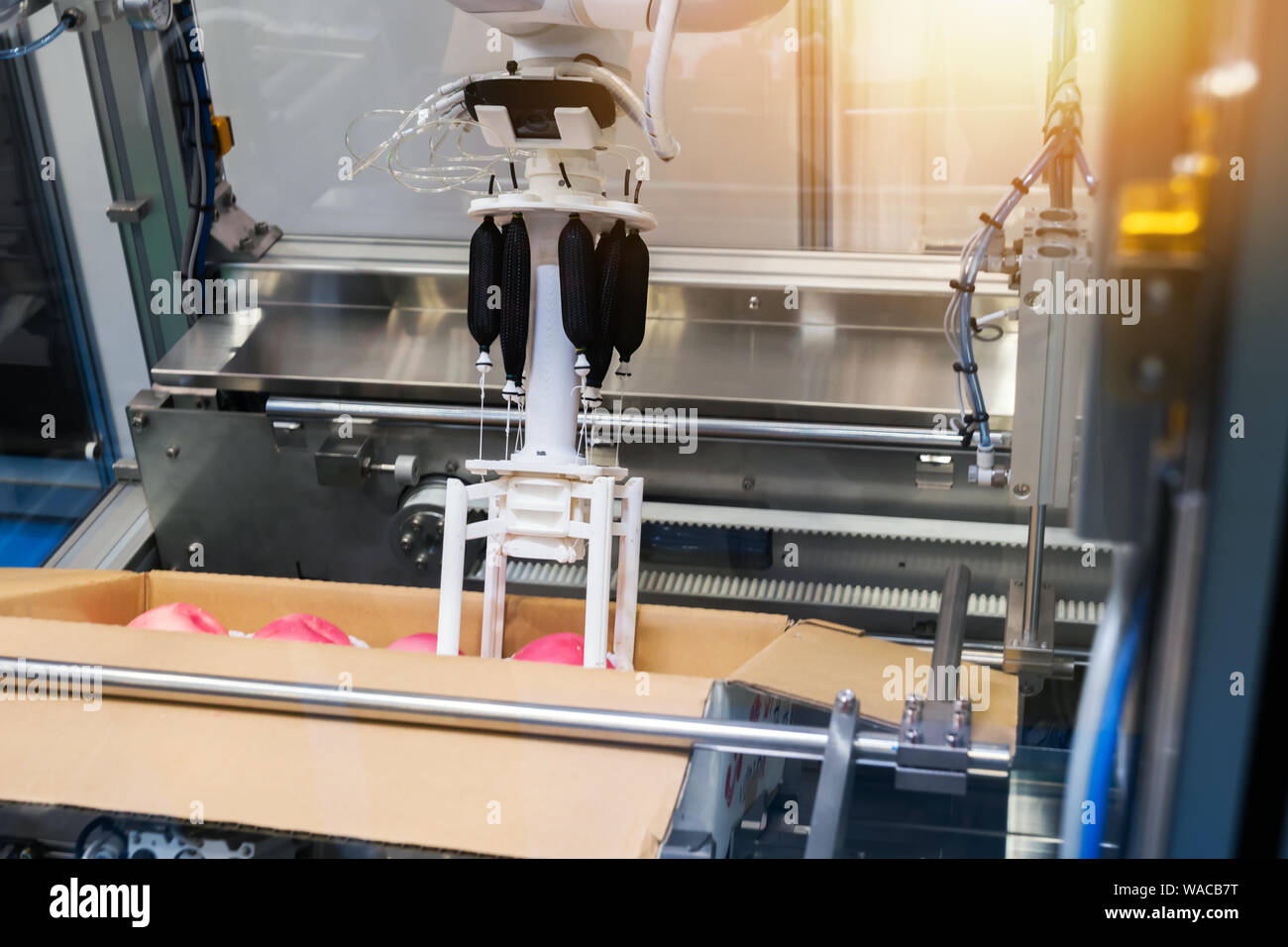 Automatisierte Förderanlagen, modularen Förderern und industrielle Automation für Package transfer Herstellung Produktion Maschine, Roboter arm in Smart fa Stockfoto