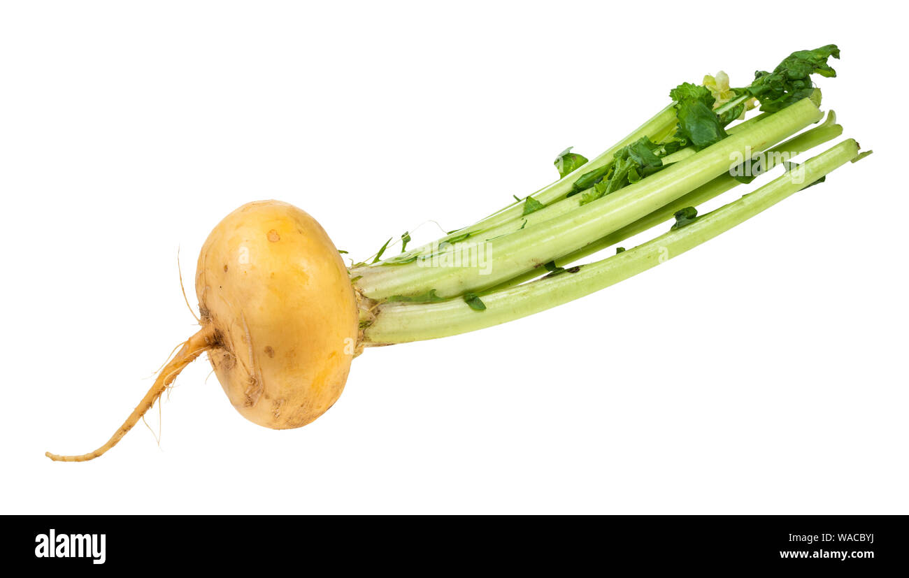 Frische organische gelbe Rübe mit grünen Ausschnitt auf weißem Hintergrund Stockfoto