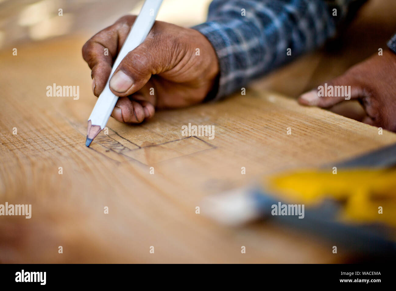 Hand eines Builder Pläne auf Holz. Stockfoto
