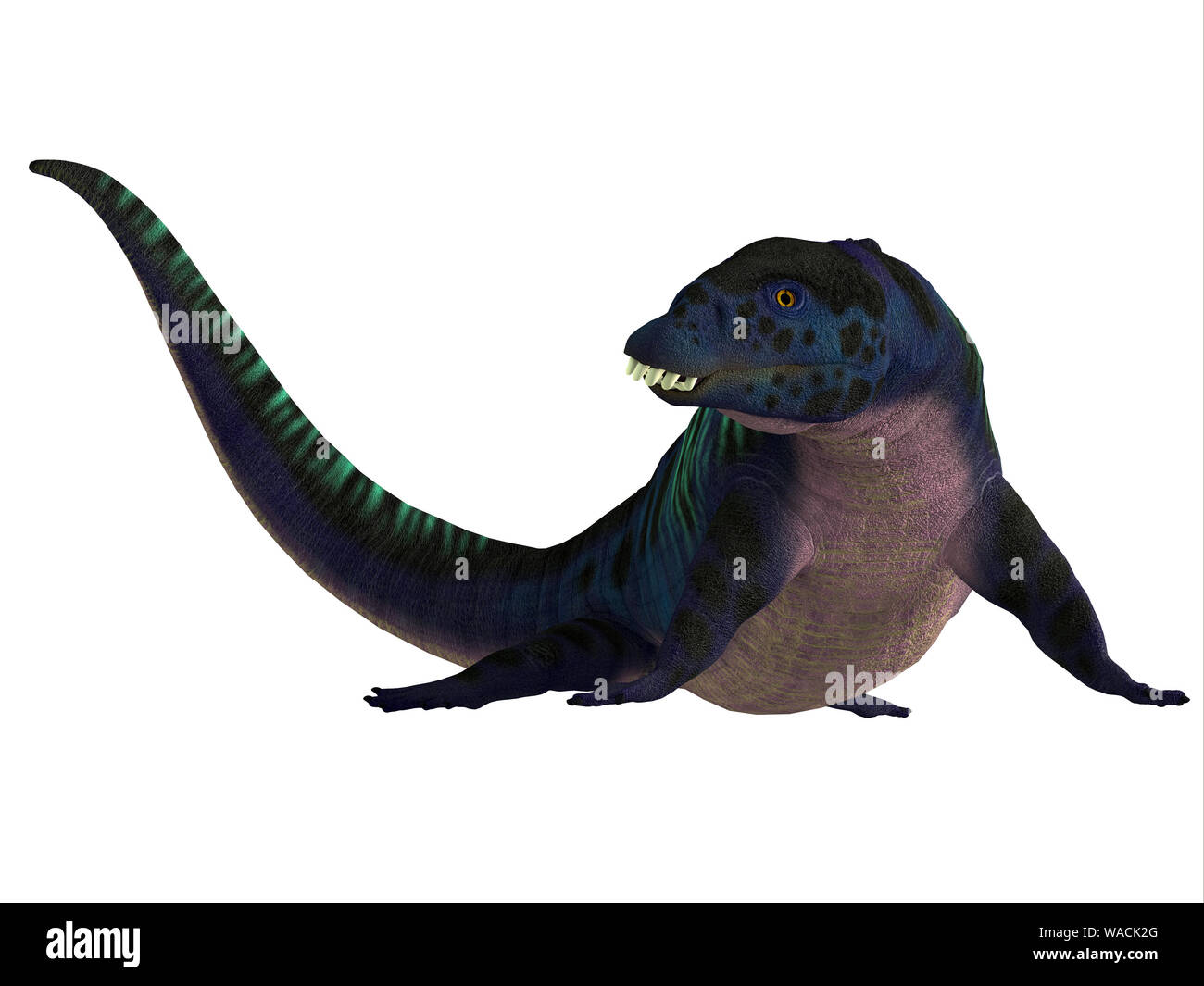 Placodus war eine fleischfressende marine Reptil, dass im alten Meere Europas und Chinas während der Trias lebte. Stockfoto