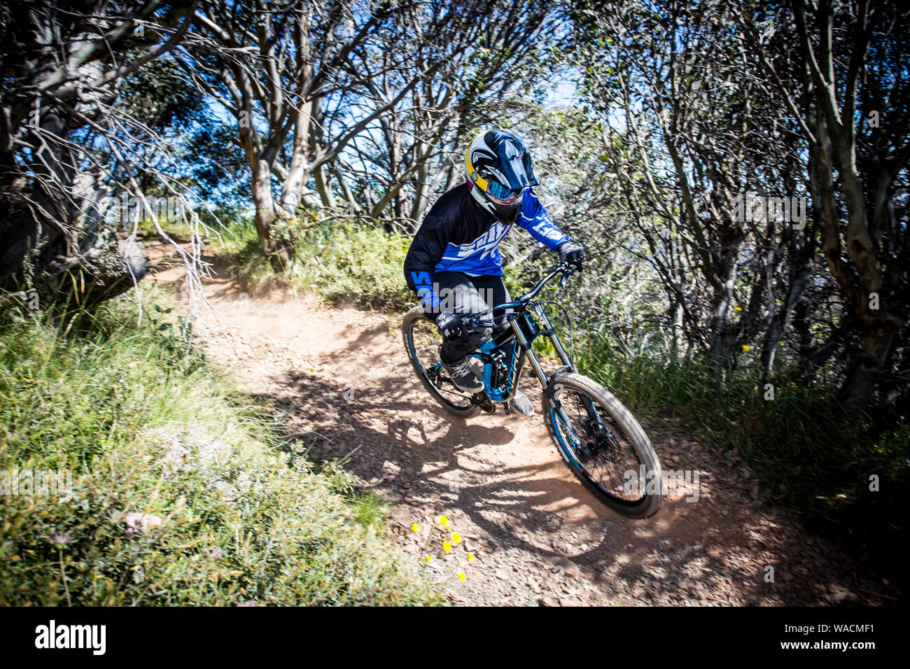 Mountain-Bike-Fahrer am Mt Buller Stockfoto