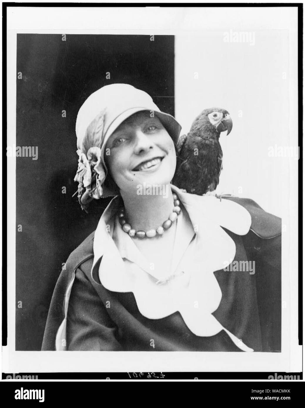 Dorothy Tierney, Kopf und Schultern im Porträt, Vorderseite, mit Ihrem Papagei auf der Schulter Stockfoto
