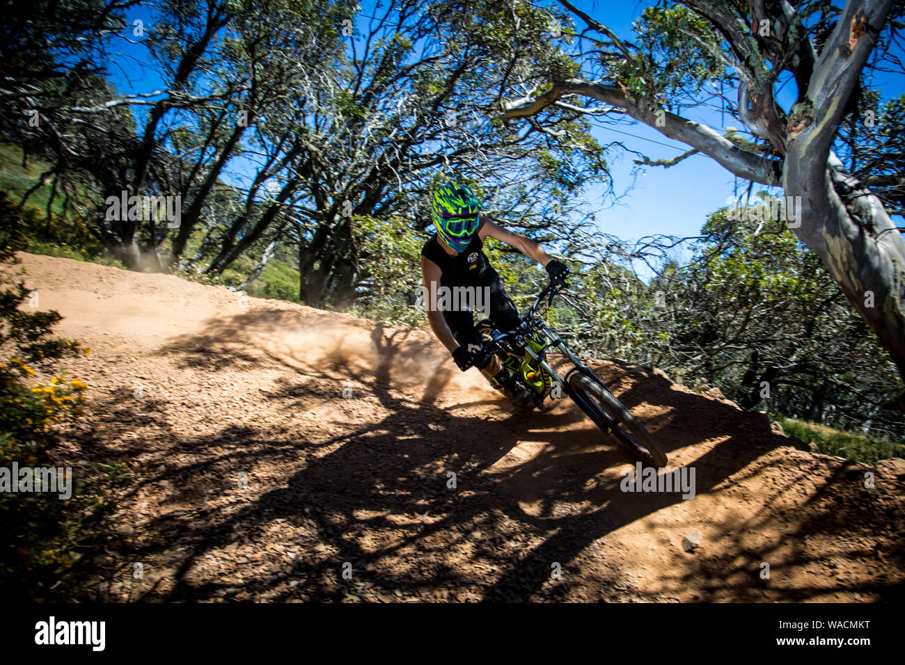 Mountain-Bike-Fahrer am Mt Buller Stockfoto