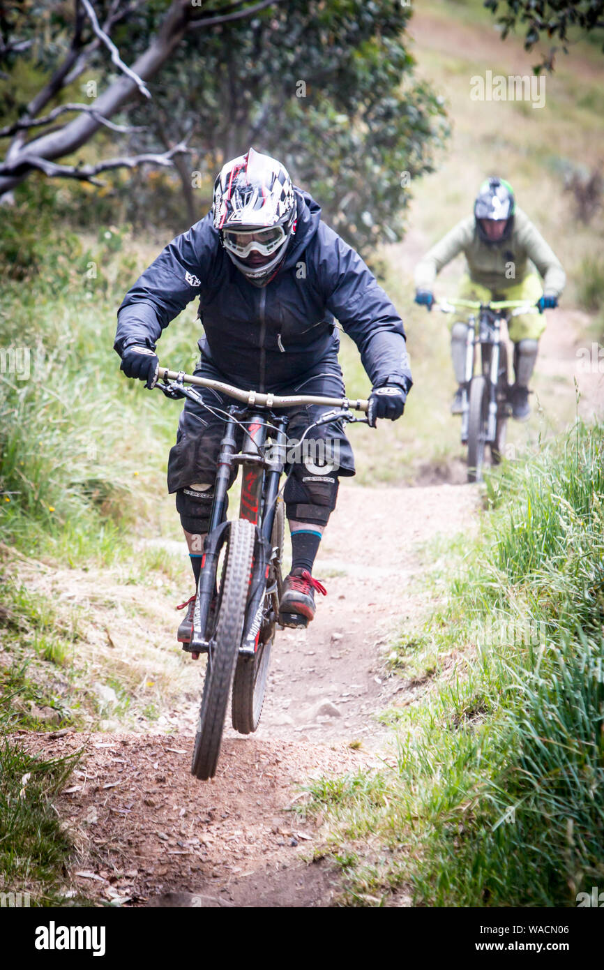 Mountain-Bike-Fahrer am Mt Buller Stockfoto