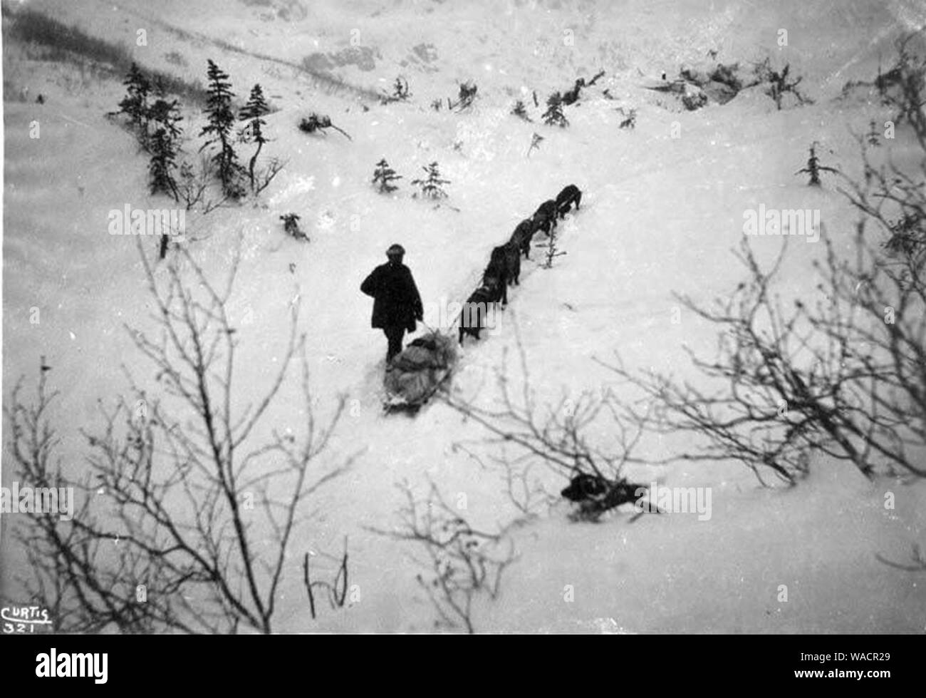 Hundeschlitten mit Nachschub auf dem Weg zum Schuppen Chilkoot Trail ca 1898 (Curtis, 1910). Stockfoto