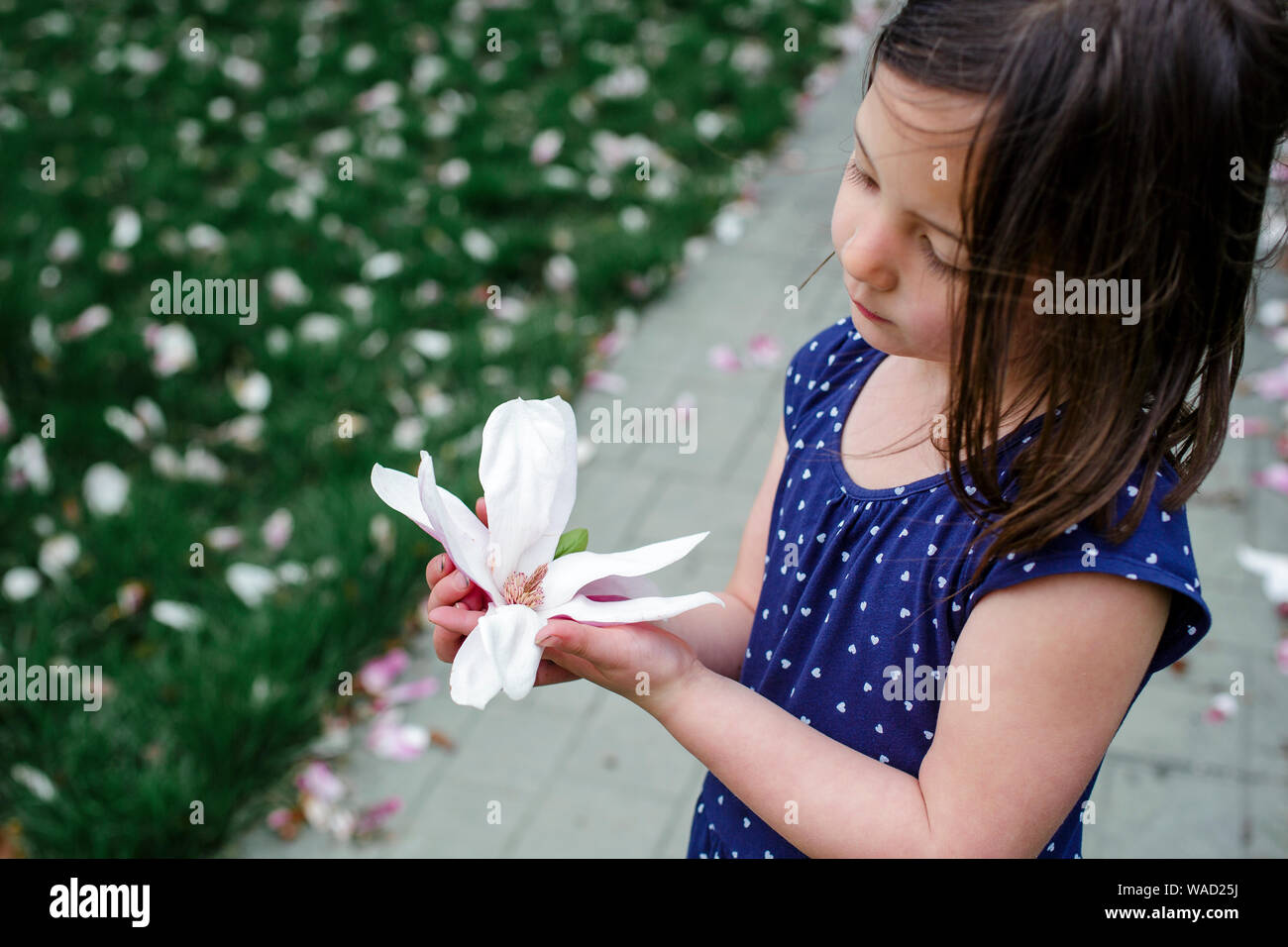 Ein kleines Kind steht in einem Yard streuen mit Blüten Holding eine Blume Stockfoto