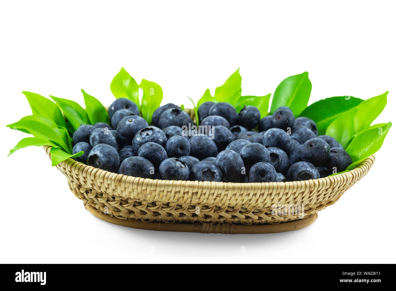 Close up Blaubeeren auf isolierten weißen Hintergrund mit Freistellungspfaden. Frische wilde Blaubeeren haben hohe antioxidative in Holz- Korb. Di Schnitt mit Pfad Stockfoto