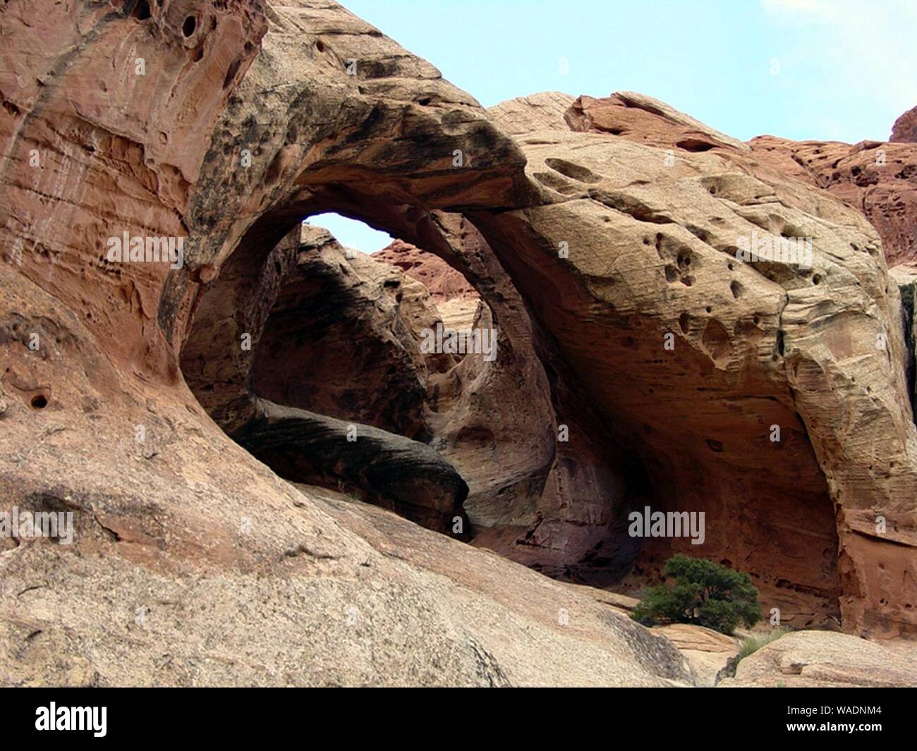 Double Arch in Kayenta Bildung in Upper Muley Twist Canyon. Stockfoto