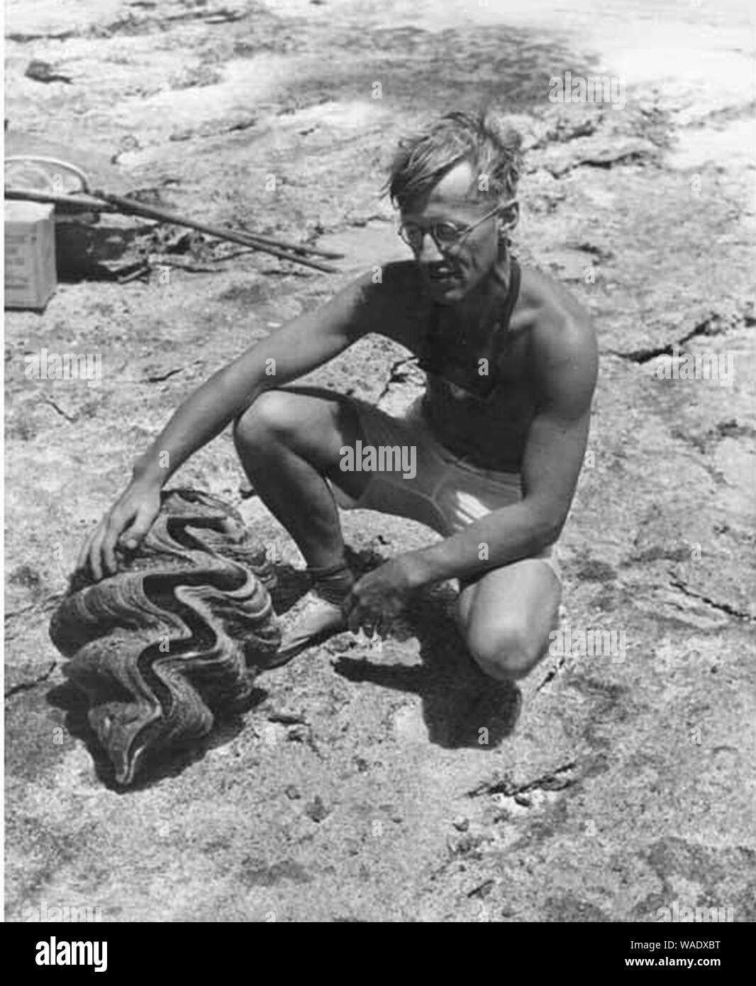 Dr. Arthur D Welander radiobiologist mit einer riesenmuschel Bikini