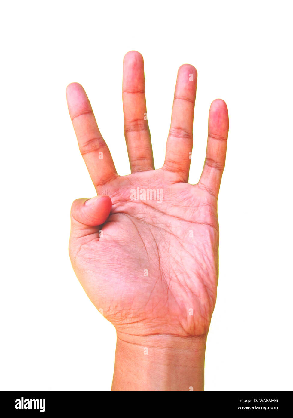 Hand Zeichen für die Zahl vier oder 4-Symbol Stockfoto