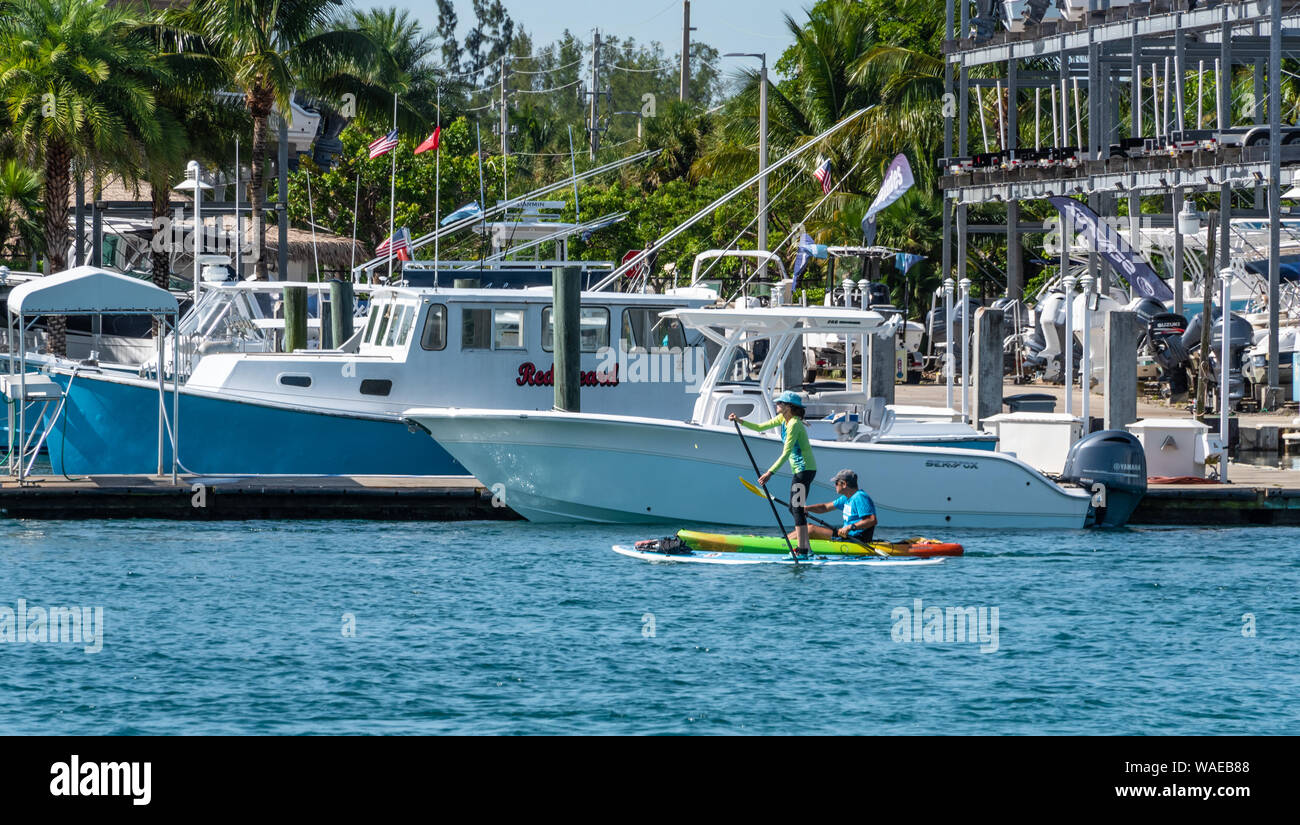 Paar Paddle Boarding und Kajakfahren auf dem Loxahatchee River am Einlass des Jupiter Jupiter, Palm Beach County, Florida. (USA) Stockfoto