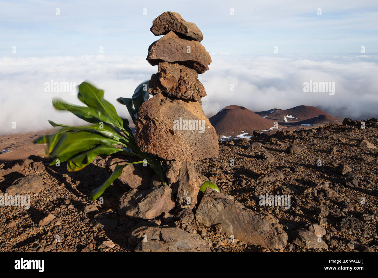 Stein Marker/Native Hawaiian Schreine (HEIAU), auch als Erinnerung an die heilige Geschichte des Mauna Kea, Hawaii, Stockfoto
