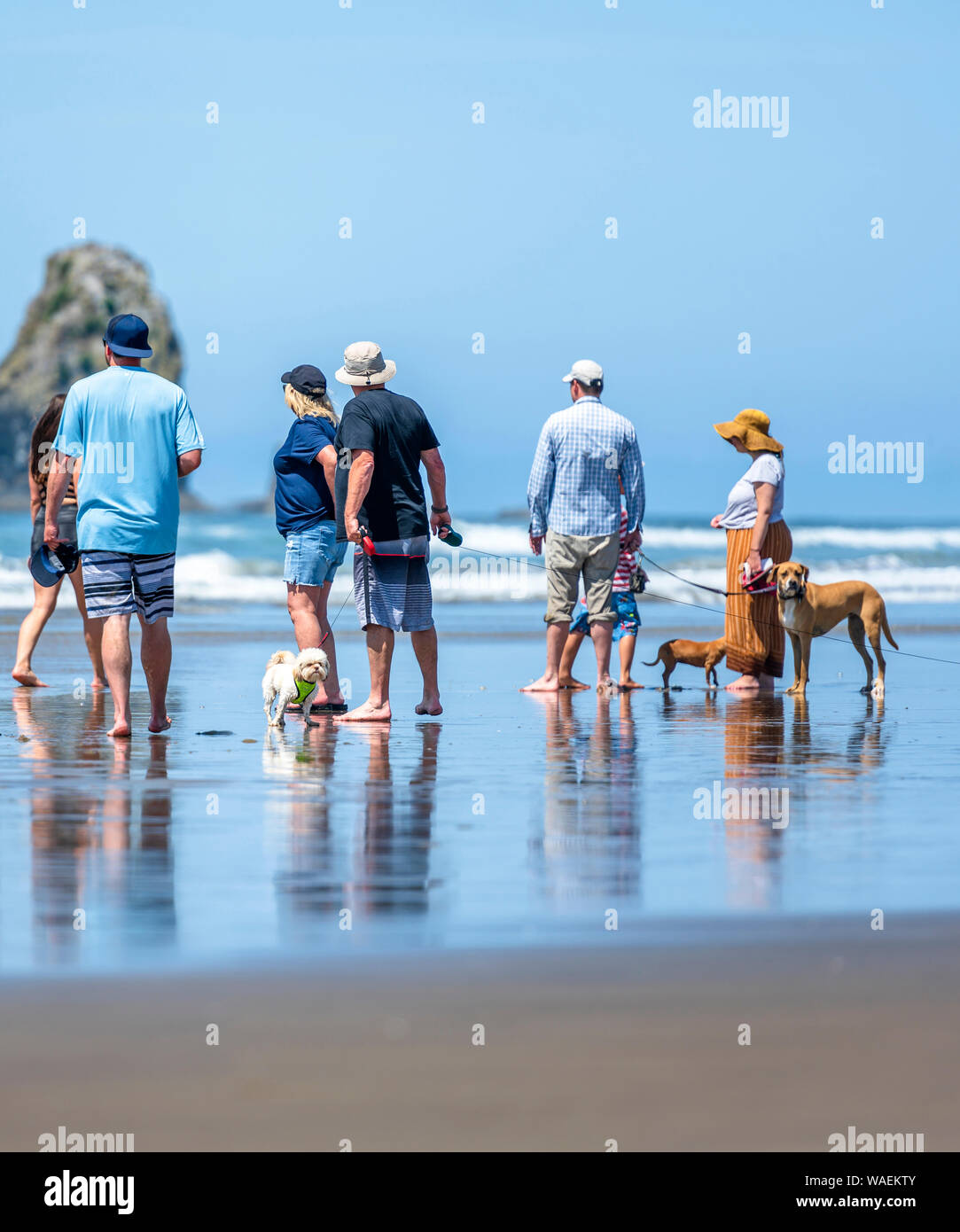 Ein Hund verliebte Paare, Männer und Frauen es vorziehen, Aktivitäten im Freien und gehen mit ihren Hunden am Ufer entlang der nordwestlichen Pazifischen Ozean genießen frische Stockfoto
