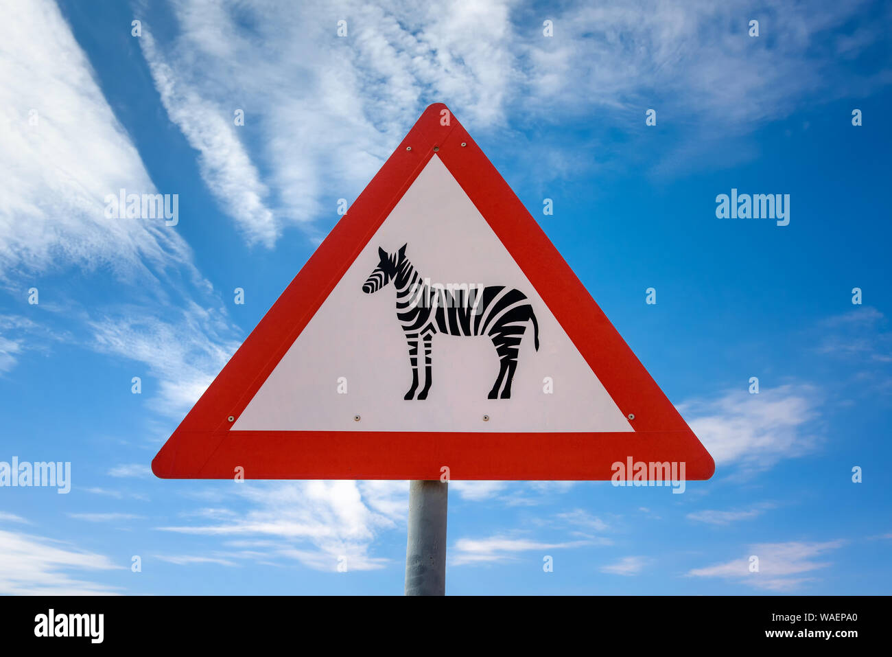 Zebras crossing Warnung Schild Stockfoto
