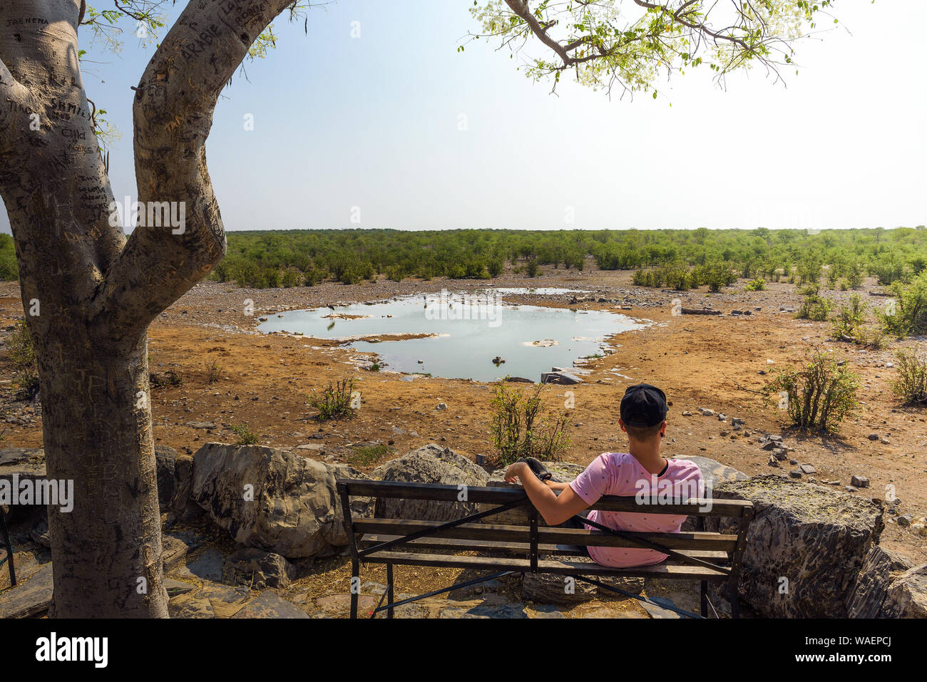 Touristische wartet für die Tierwelt am Moringa waterhole in der Nähe von Halali, Etosha, Namibia Stockfoto