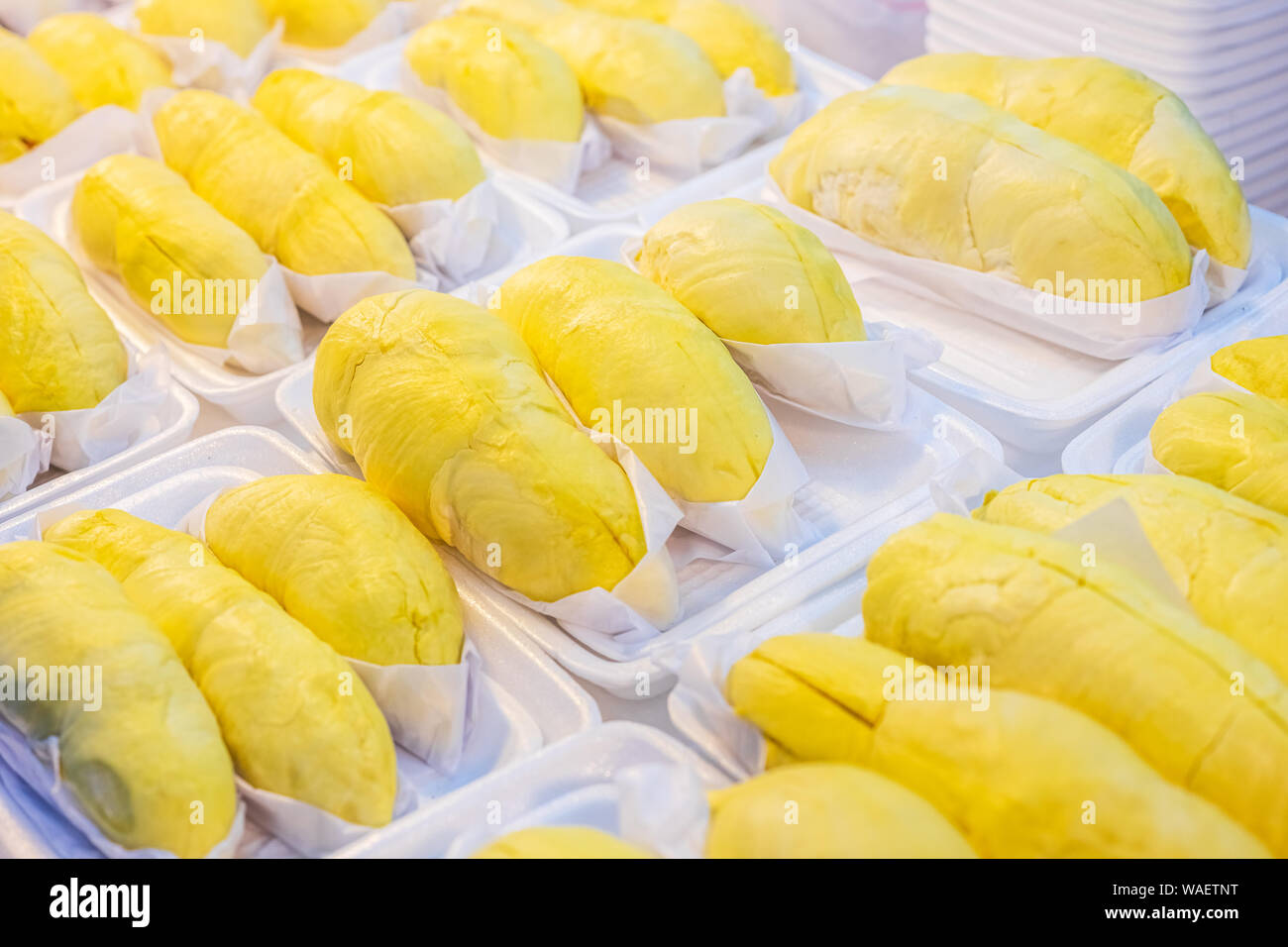 Monthong Durian mit köstlichen Goldgelb weiche Fleisch zum Verkauf verpackt. Durian König der Früchte, Thai berühmteste Obst. Stockfoto