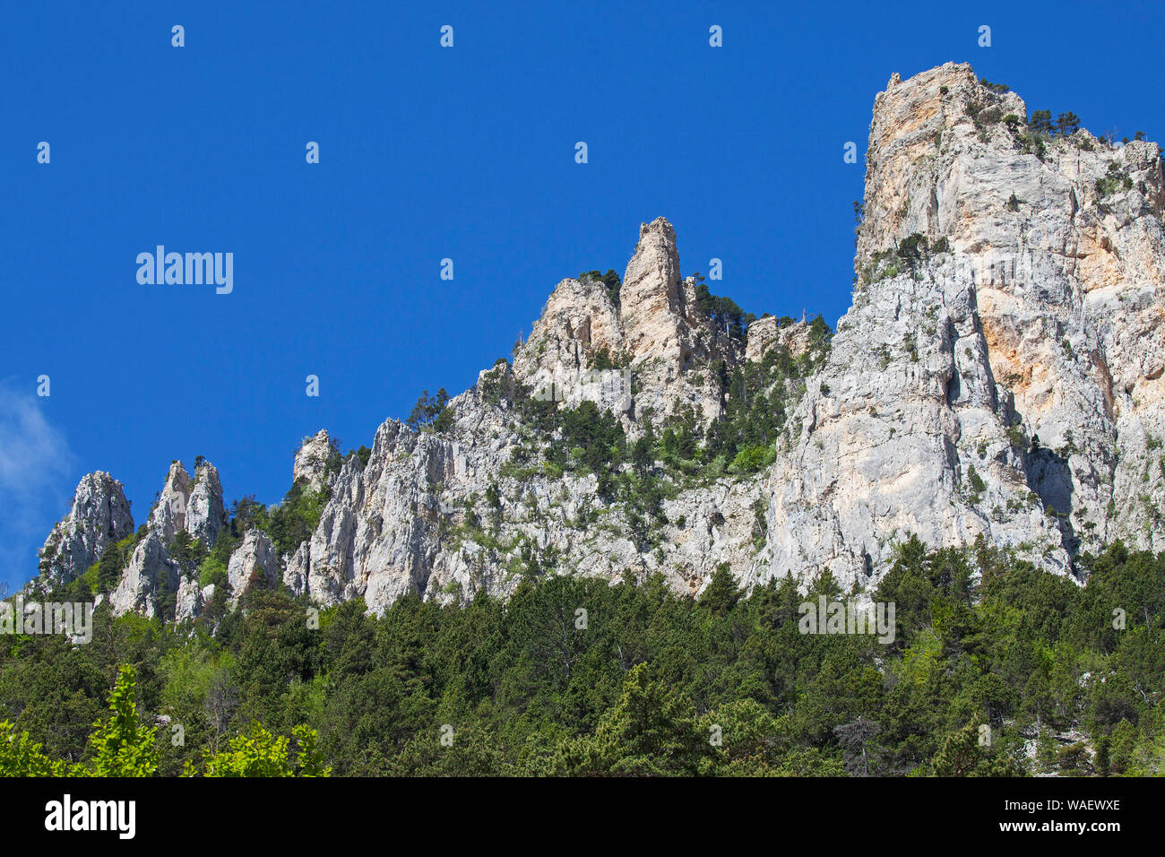 Kalkstein Ridge Tal de Combeau Regionaler Naturpark Vercors Vercors Frankreich Juni 2016 Stockfoto