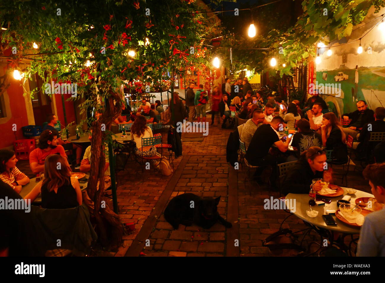 Eine atmosphärische Ungarische bar in der Siebenbürgischen Stadt Targu Mures in Rumänien. Bild von Adam Alexander Stockfoto