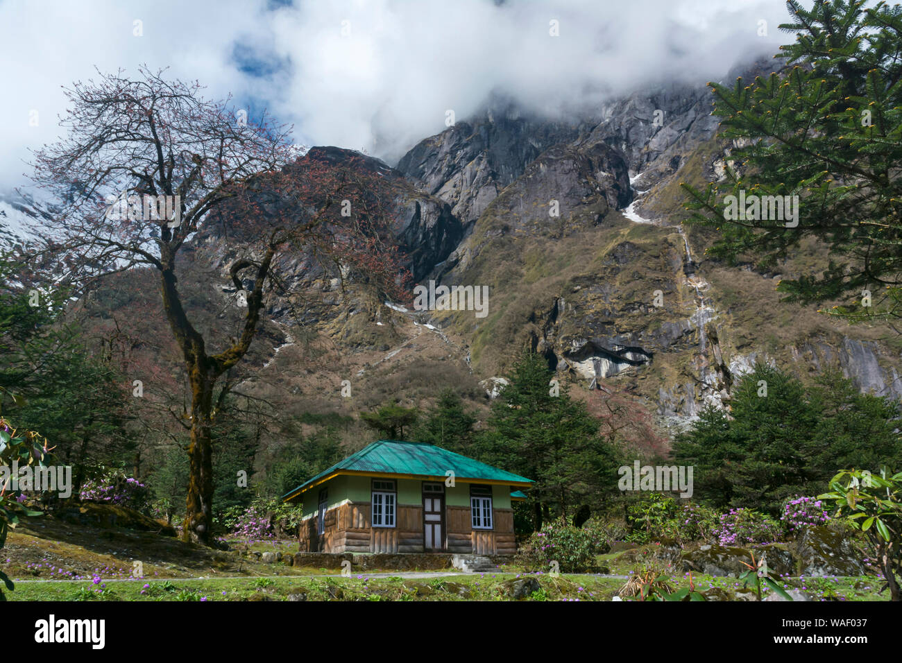 Haus am Yumthang Tal, Lachung, Sikkim, Indien. Stockfoto