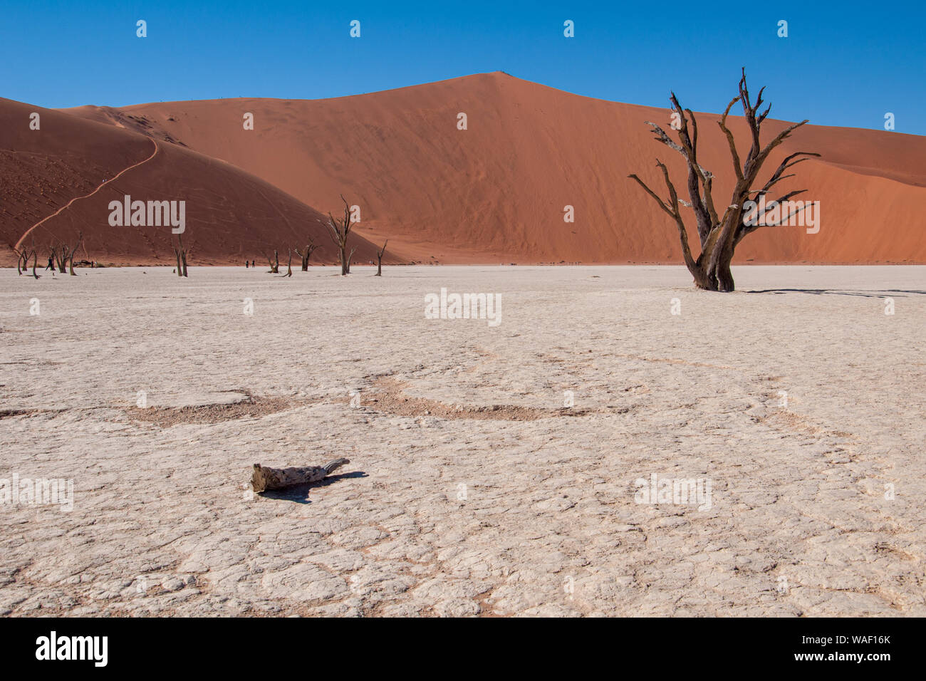 Die Stereoposition der Deadvlei mit Big Daddy dune im Hintergrund Stockfoto