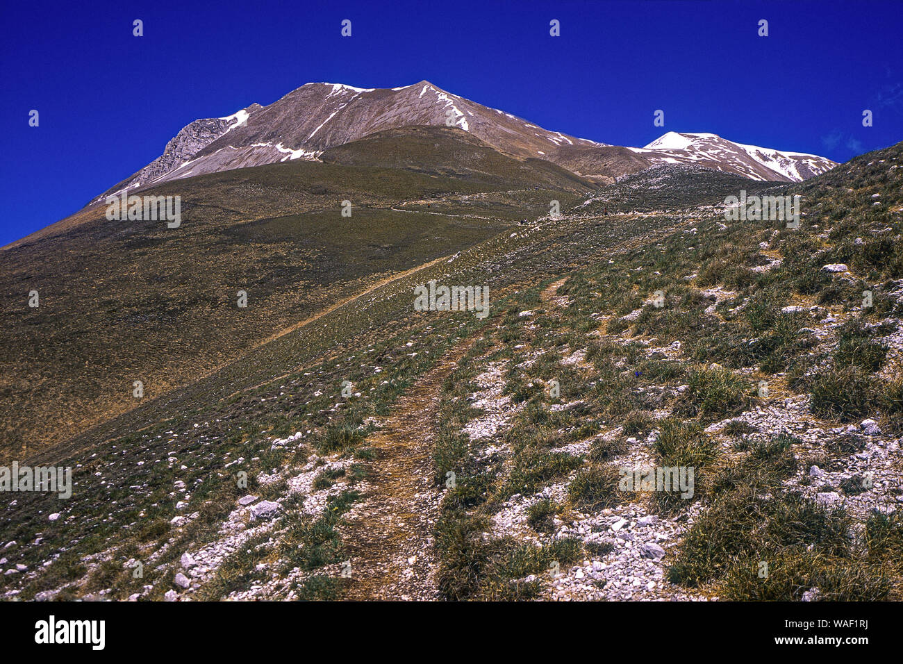 Marche Monti Sibilllini National Park Blick auf den Monte Vettore Stockfoto