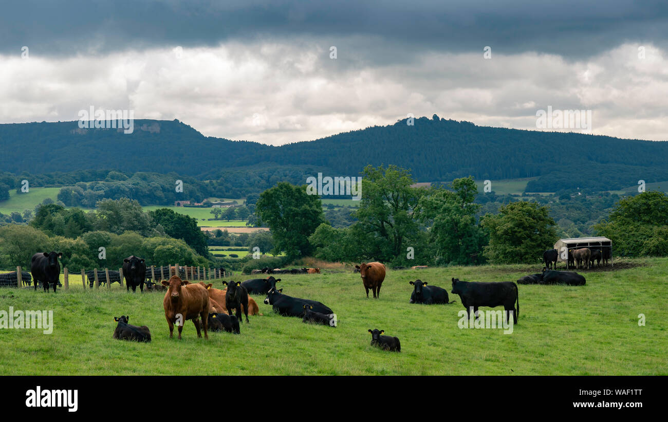 Sutton Bank Stockfoto