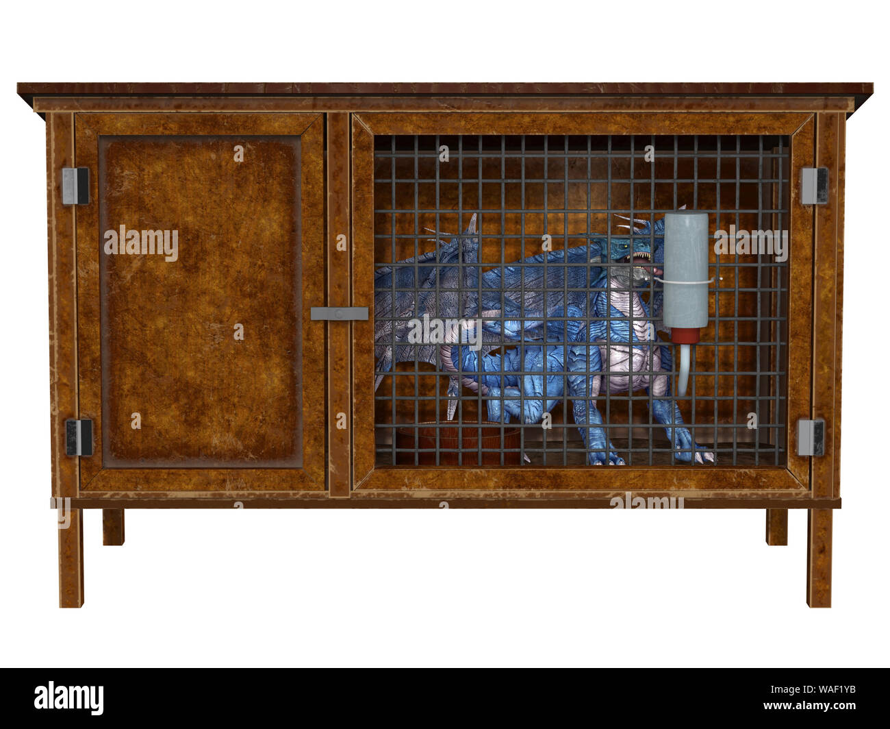 Kleines Haustier Blue Dragon in einem Stall Stockfoto