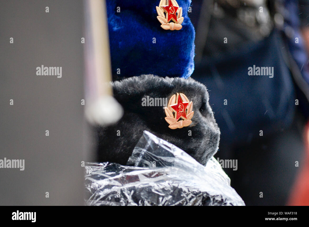 Einige russische Busby hat in einem Markt Stola in St. Petersburg, Russland Stockfoto