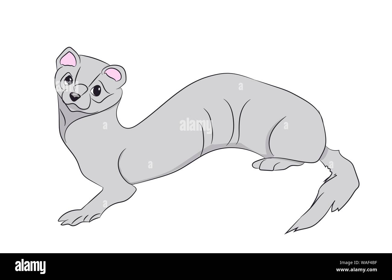 Marten, Farbe, Vector, weißer Hintergrund Stock Vektor