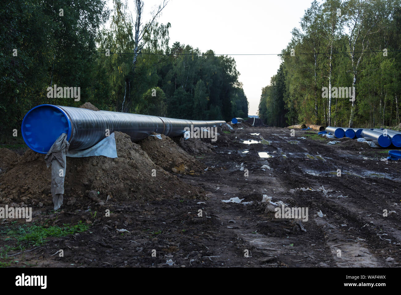 Wiederaufbau der Gasleitung. Austausch von alten rostigen Rohre durch Neue. Taiga als Hintergrund. Bodenaushub und Spuren von Baumaschinen. Stockfoto