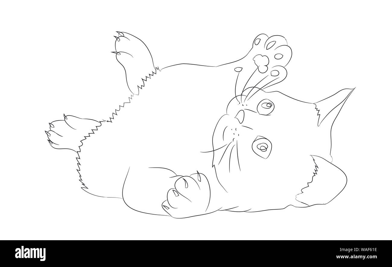 Liegende katze zeichnen Ausgeschnittene Stockfotos und -bilder - Alamy