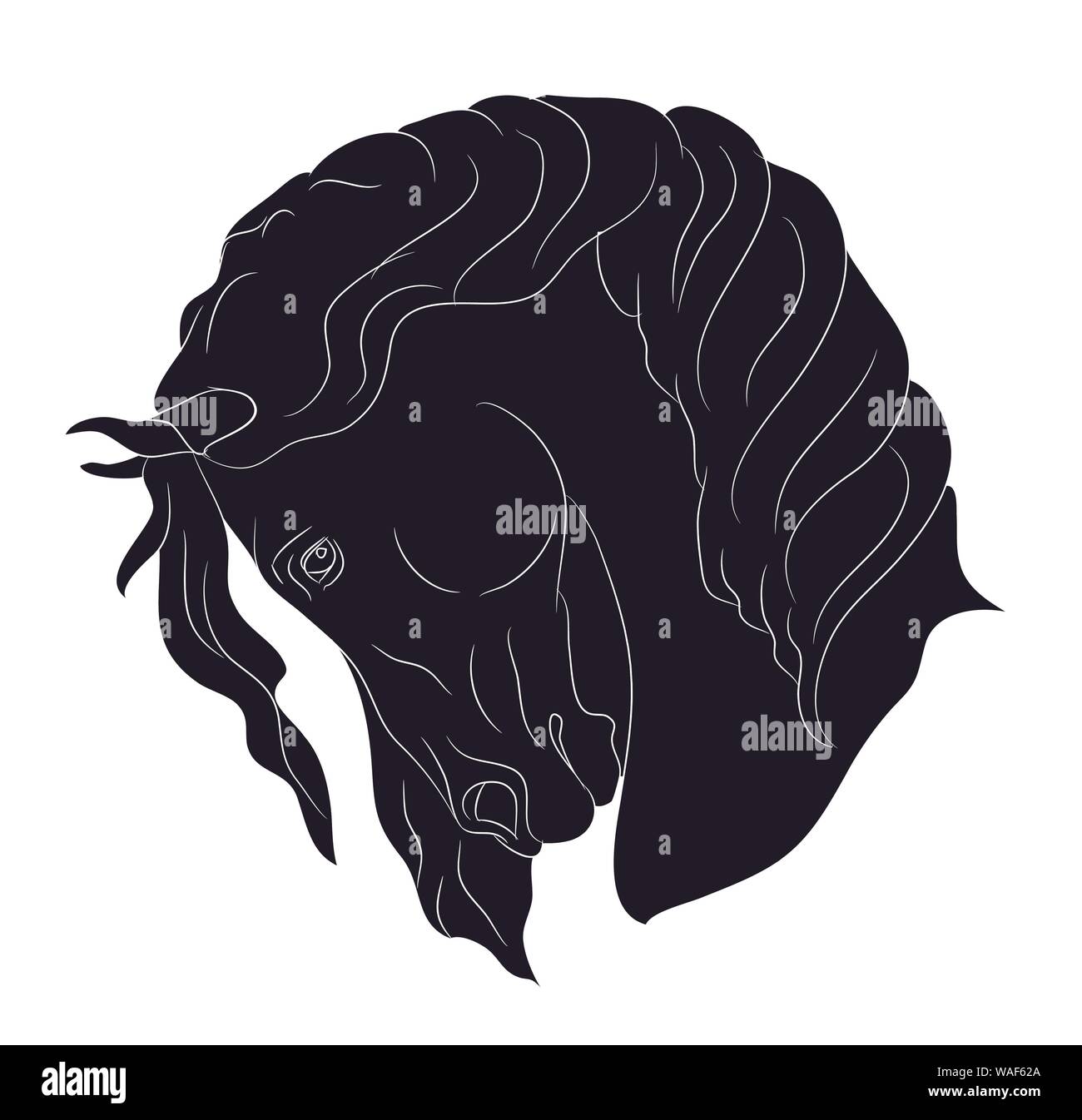 Horse Portrait Zeichnung Silhouette, Vector, weißer Hintergrund Stock Vektor