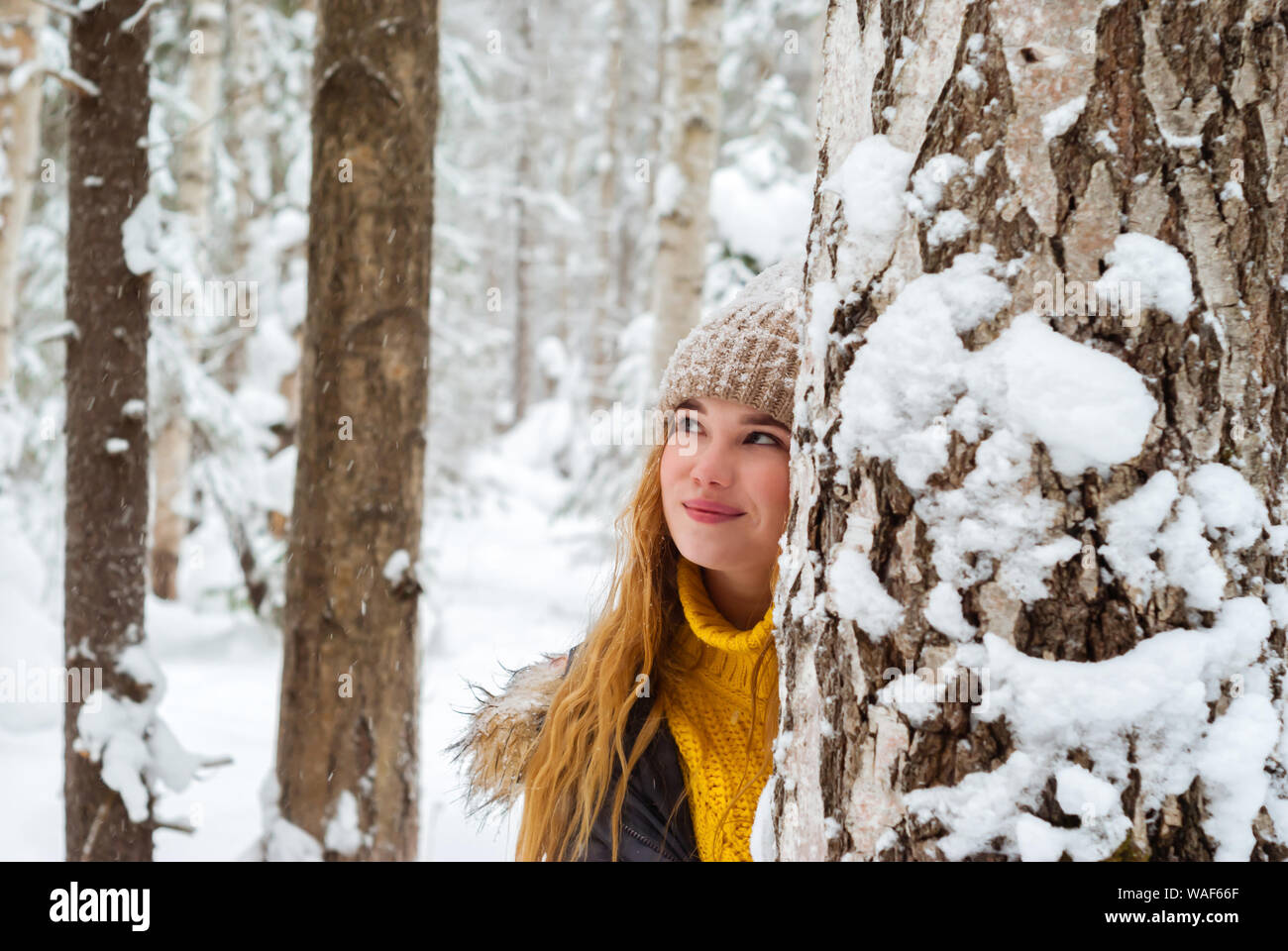 Fröhliches Mädchen in einen warmen Pullover und Strickmütze in einem Winter Park spielen verstecken sich hinter einem Baumstamm Stockfoto