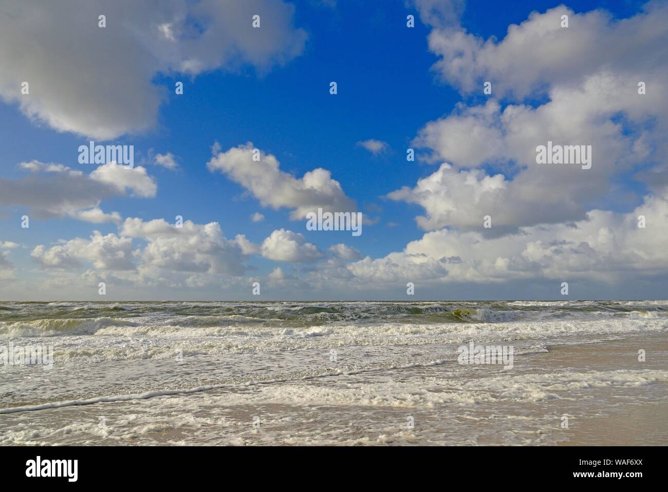 Wellen läuft aus am sandigen Strand, blauer Himmel mit Tiefziehen Haufenwolken (Cumulus) über der Nordsee, Kampen, Sylt, Nordfriesische Inseln Stockfoto