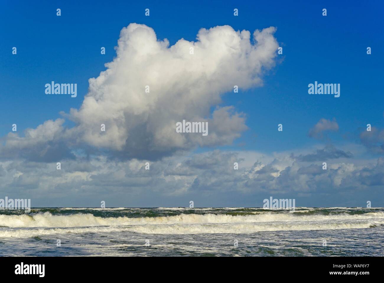 Wellen läuft aus am sandigen Strand, blauer Himmel mit Tiefziehen Haufenwolken (Cumulus) über der Nordsee, Kampen, Sylt, Nordfriesische Inseln Stockfoto