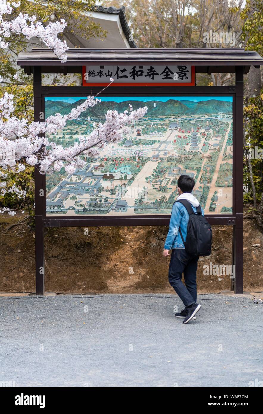 Touristische vor eine Informationstafel mit Karte der Ninna-ji Tempel Komplex, Kyoto, Japan Stockfoto