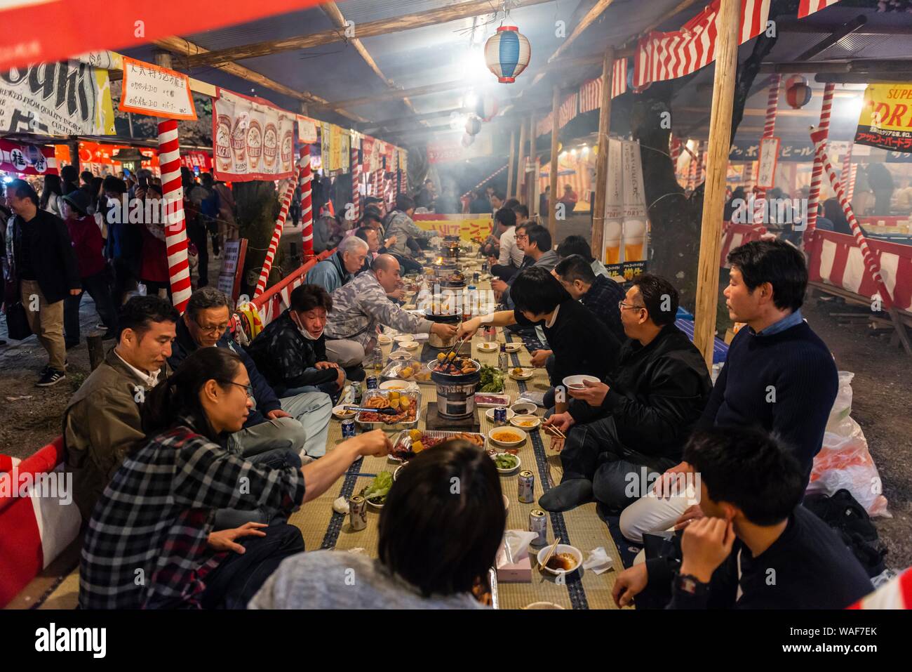 Cherry Blossom Festival, Hanami, Japanisch essen an einem langen Tisch, Abendstimmung, Hirano shrine, Kyoto, Japan Stockfoto