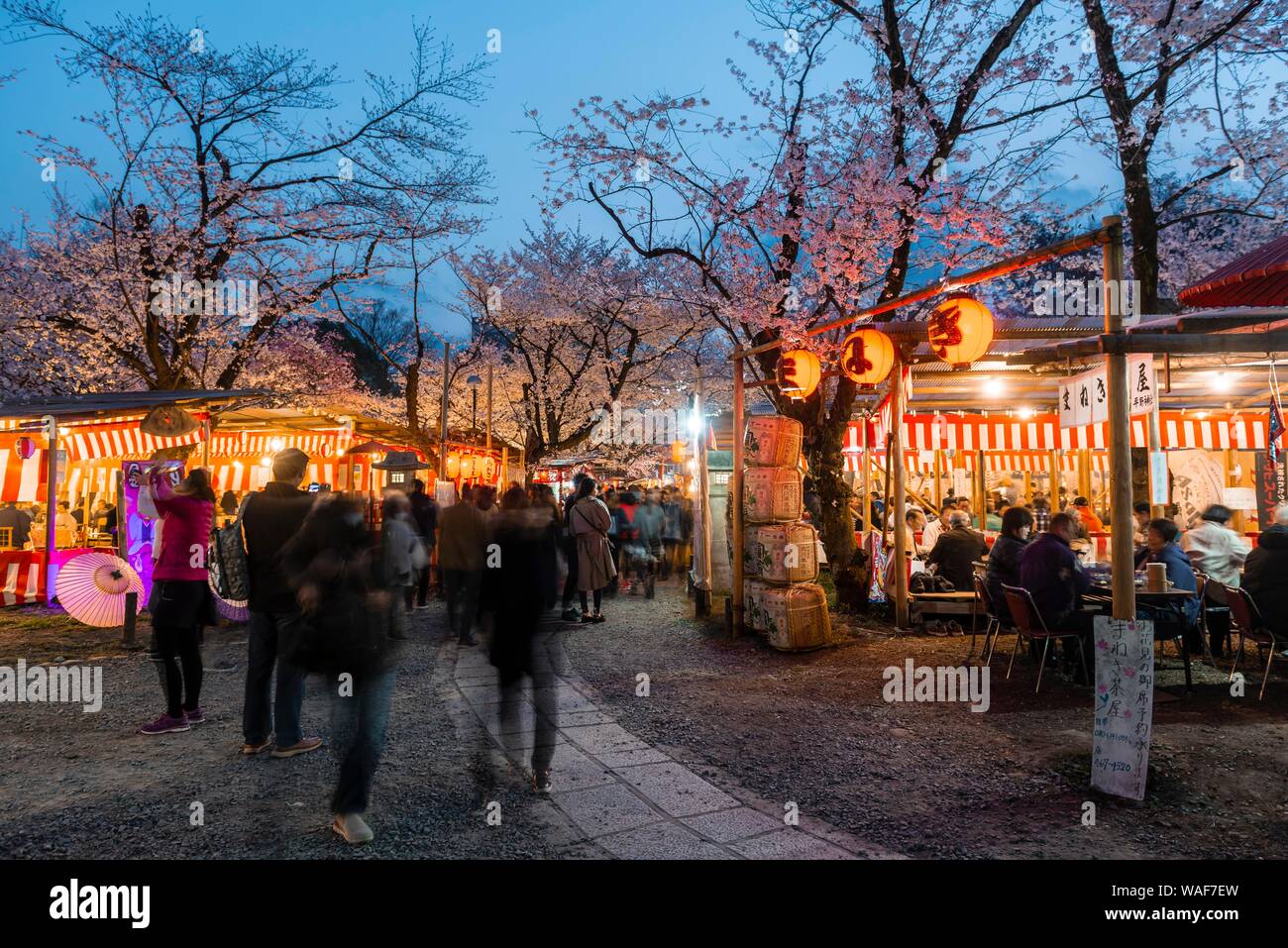 Imbissstände im Cherry Blossom Festival, Hanami, Abendstimmung, Hirano shrine, Kyoto, Japan Stockfoto