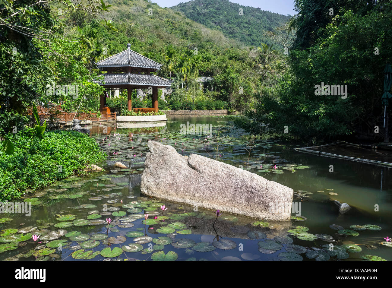 See in Yalong Bay Tropical Paradise Forest Park. China Hainan Stockfoto