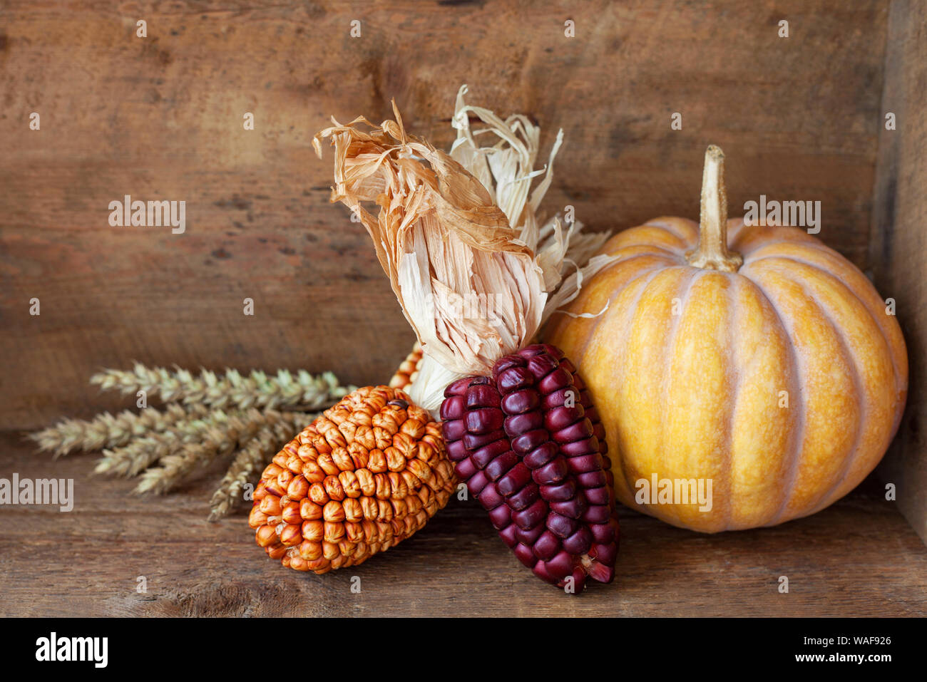 Herbst Anordnung auf einem hölzernen Hintergrund Stockfoto