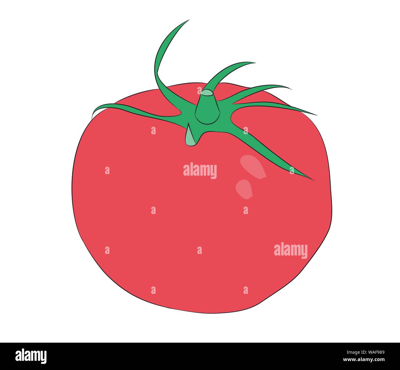 Gemüse und Früchte Muster Farbe, Vector, weißer Hintergrund Stock Vektor