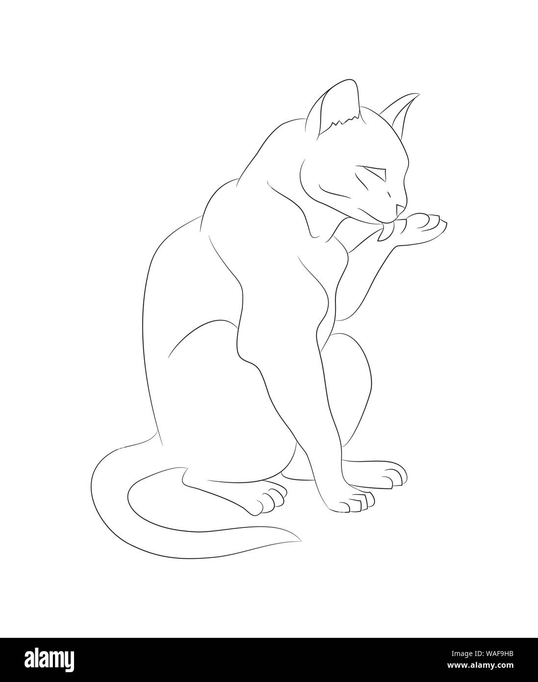 Vector Illustration einer Katze, leckt seine Pfote, zeichnen Linien